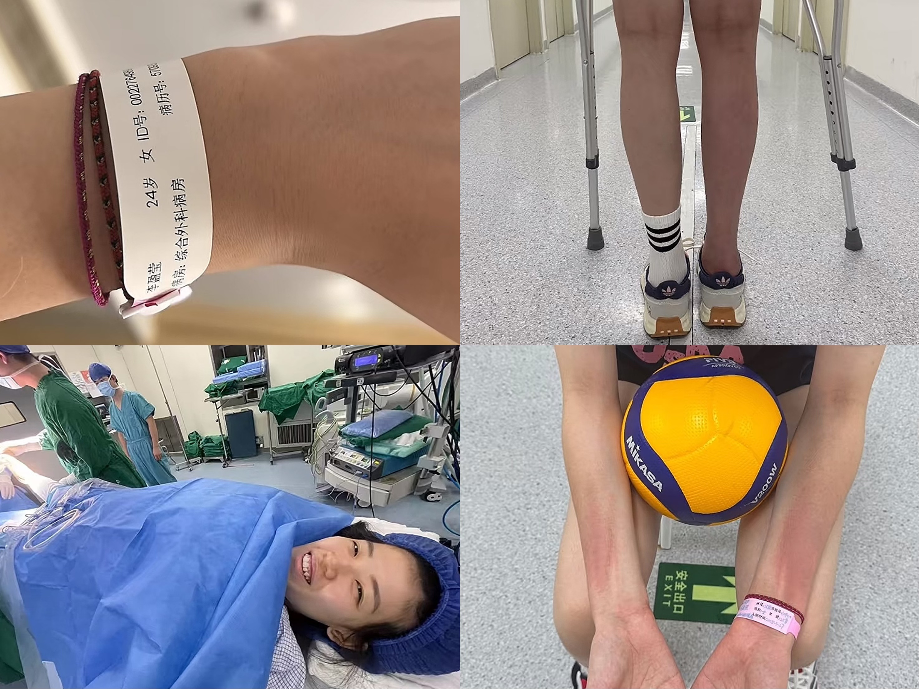 女排对阵上