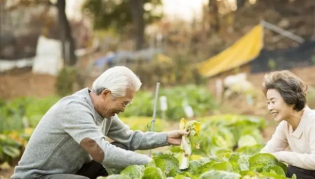 一审, src 一审, src