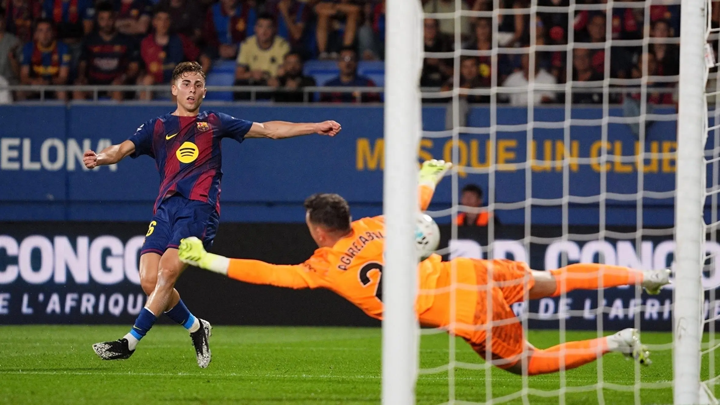 这是费尔明, AA, 中最出众的 这是费尔明, AA, 中最出众的