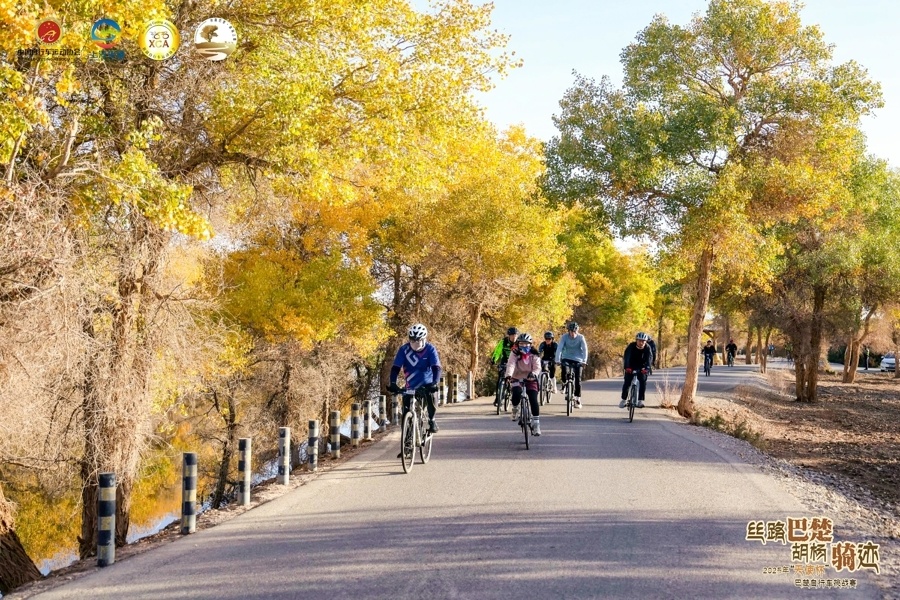 携程旅游已, 硬核担当, 体验 携程旅游已, 硬核担当, 体验