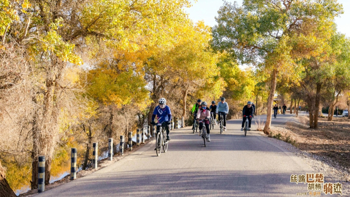 携程旅游已, inews, 成果 携程旅游已, inews, 成果